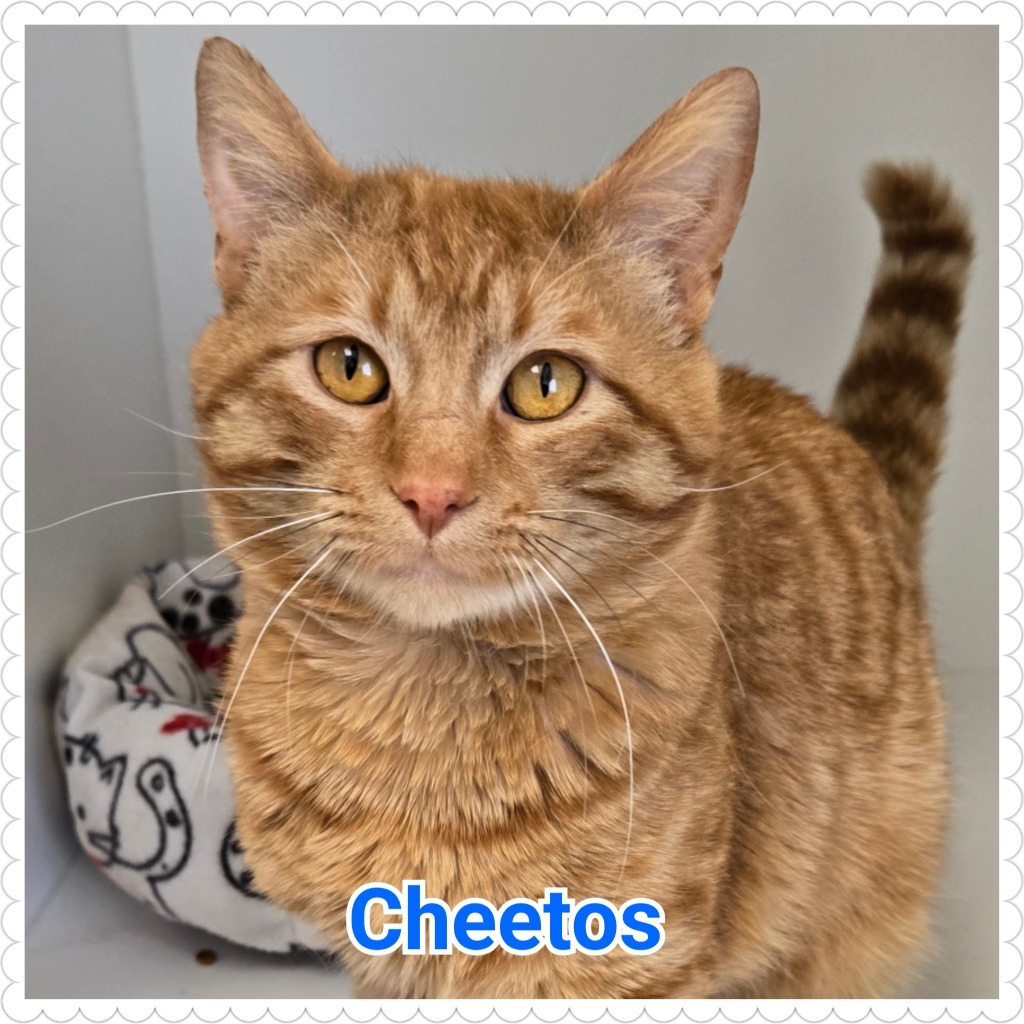 Cheetos