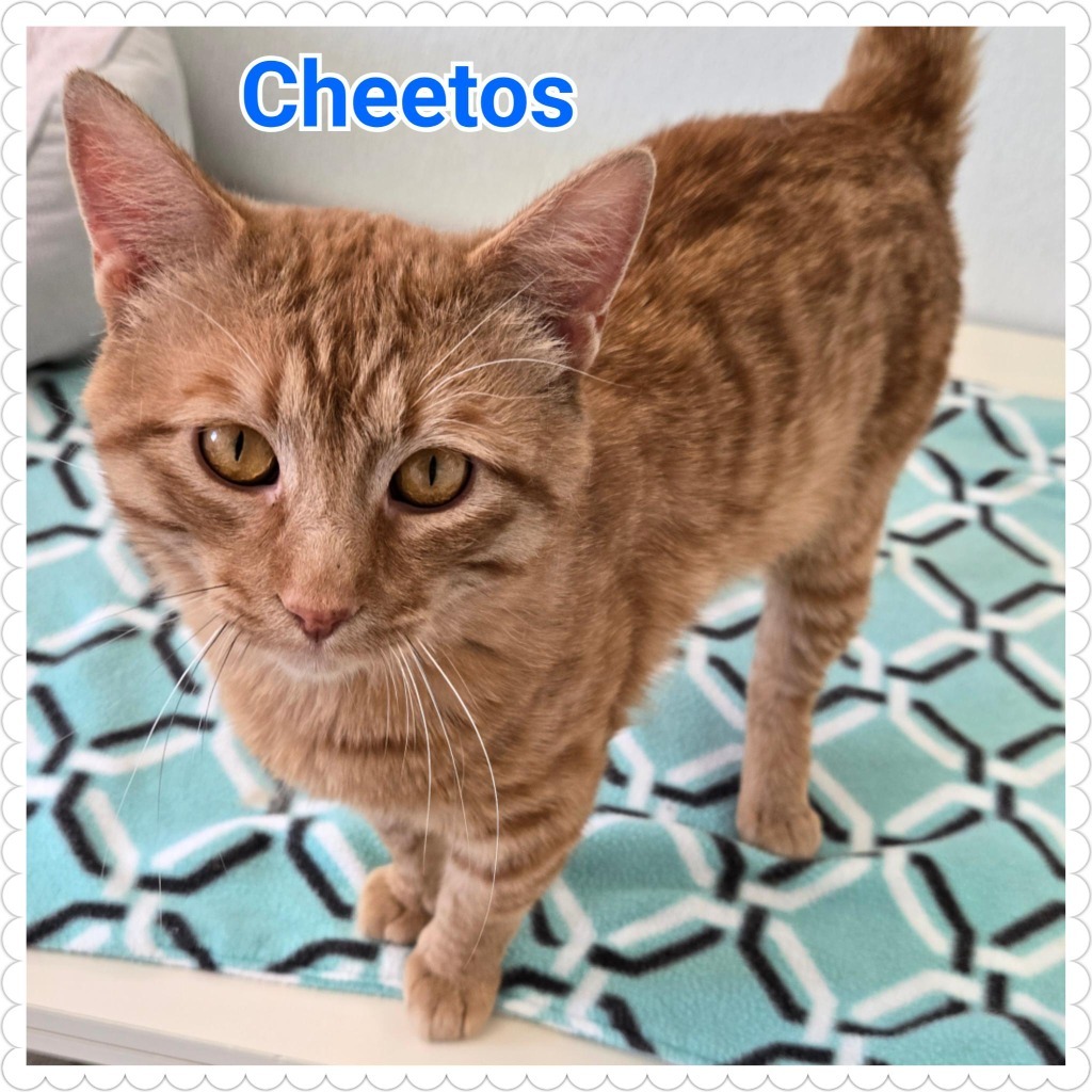 Cheetos