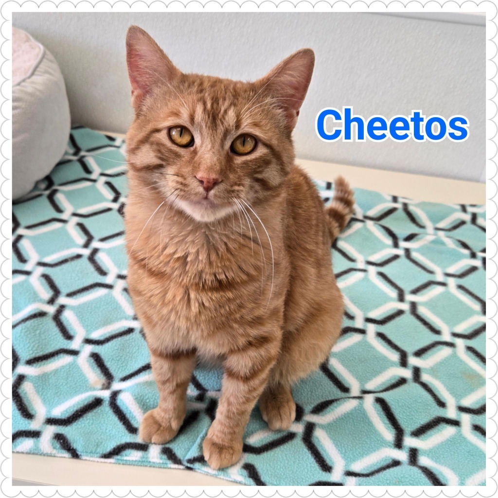 Cheetos