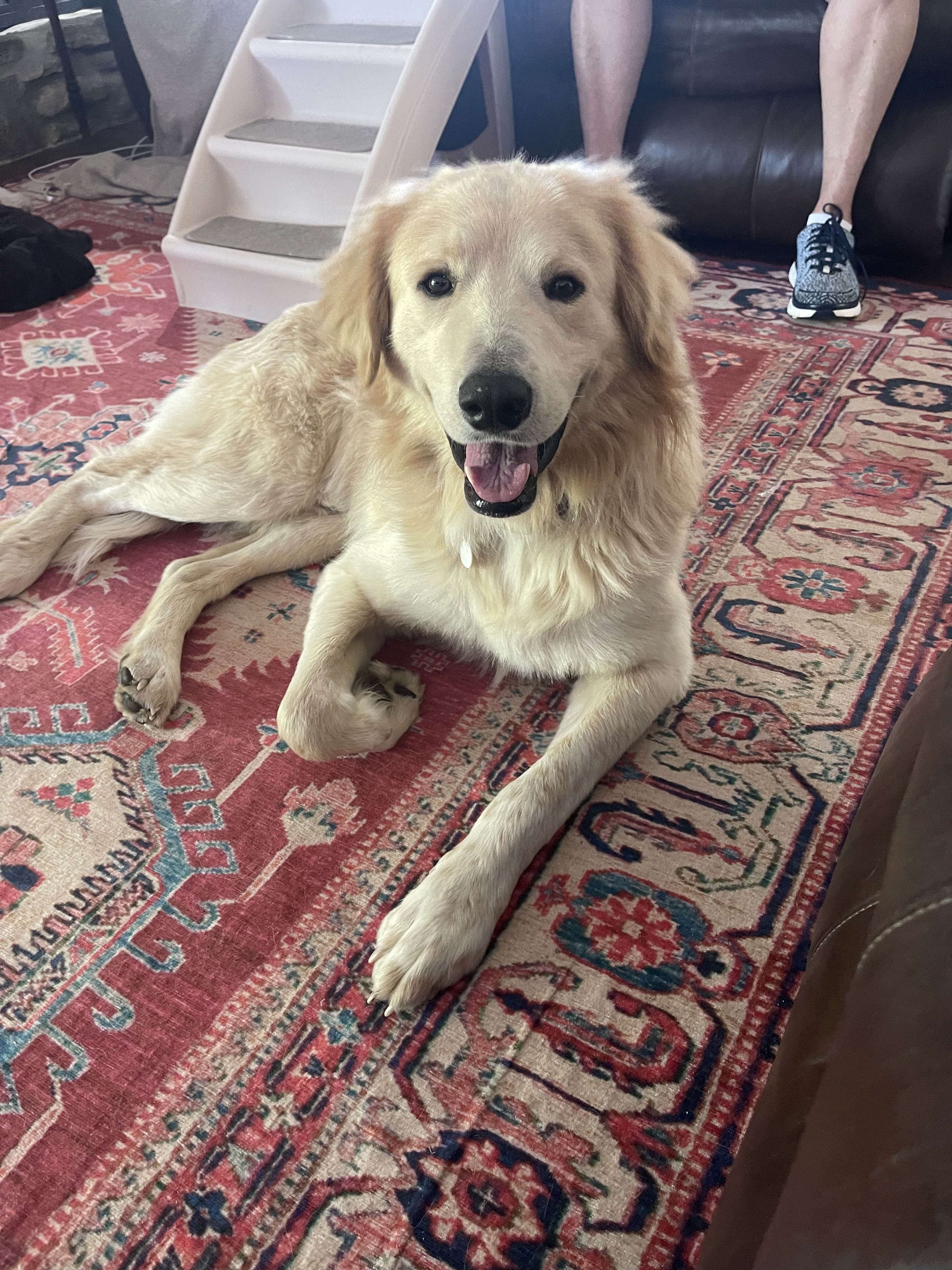 Augustus "Augie" ATX