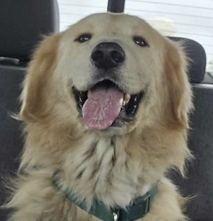 Augustus "Augie" ATX