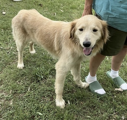 Augustus "Augie" ATX