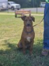 Buddy photo 3