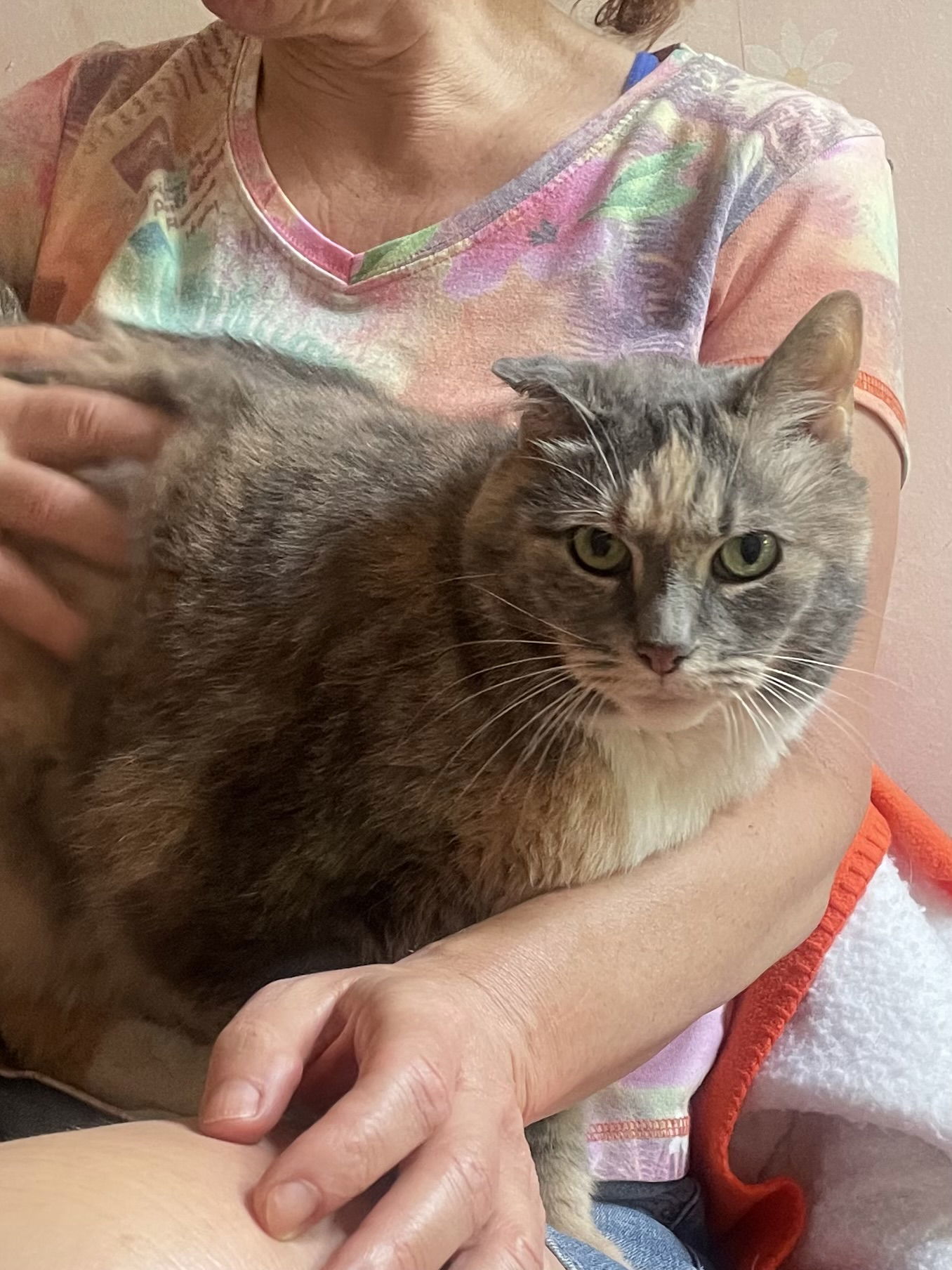 Snickers