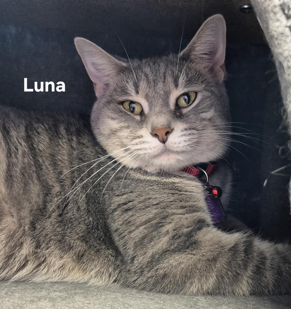 Luna