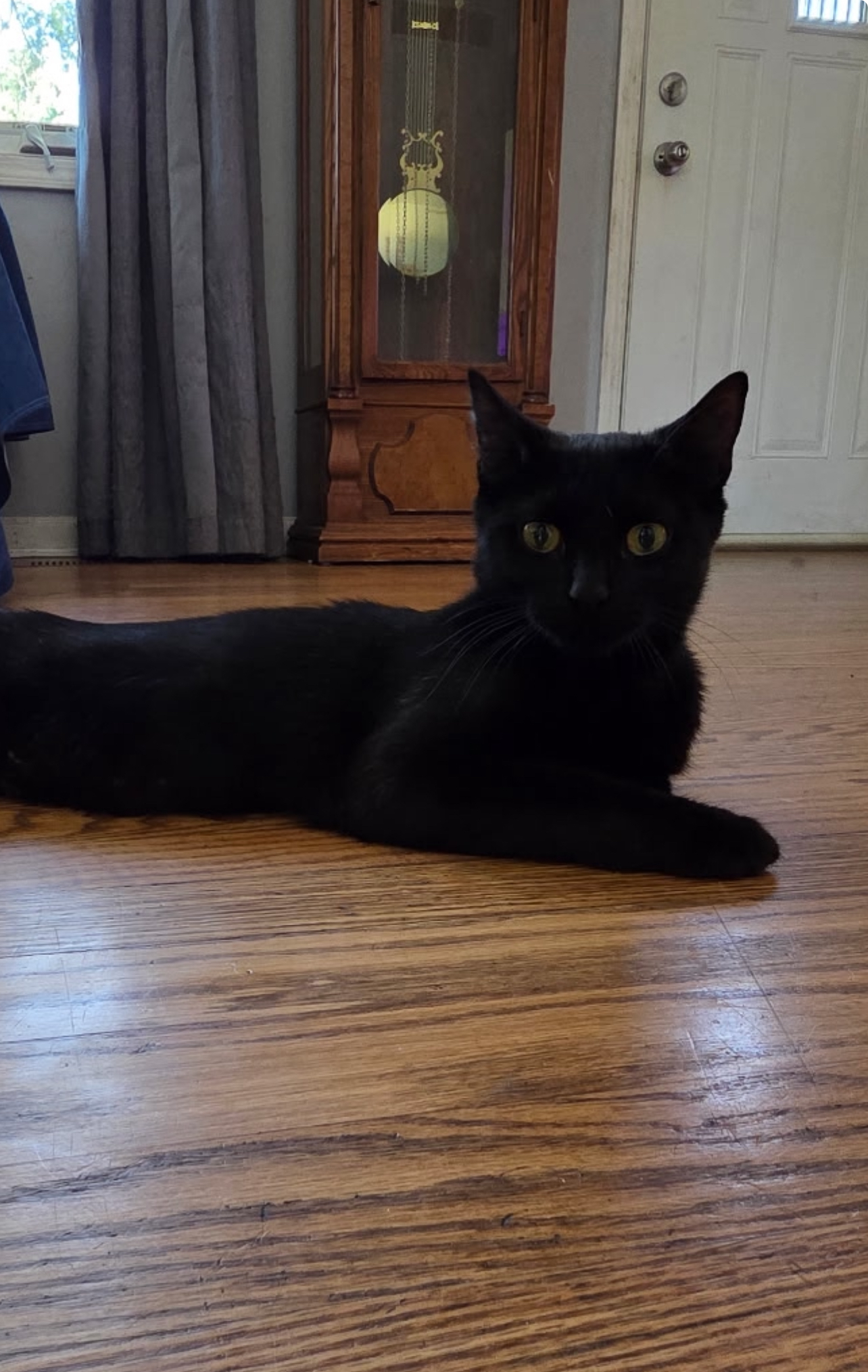 Willow