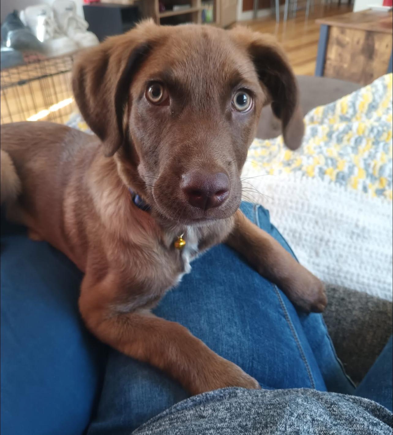 Duke