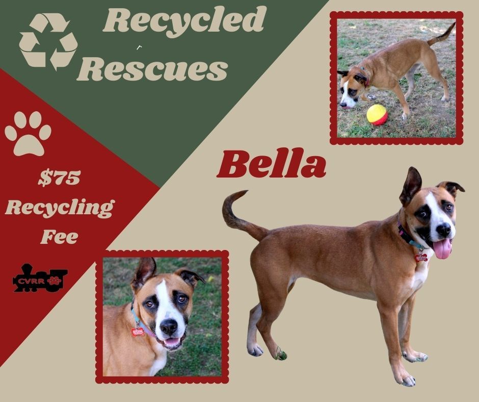 Bella (Recycle)