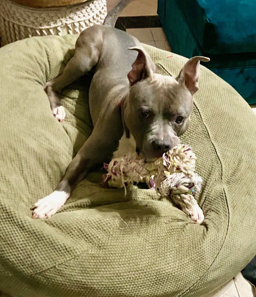 Kilo