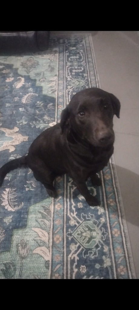 SADIE MAE