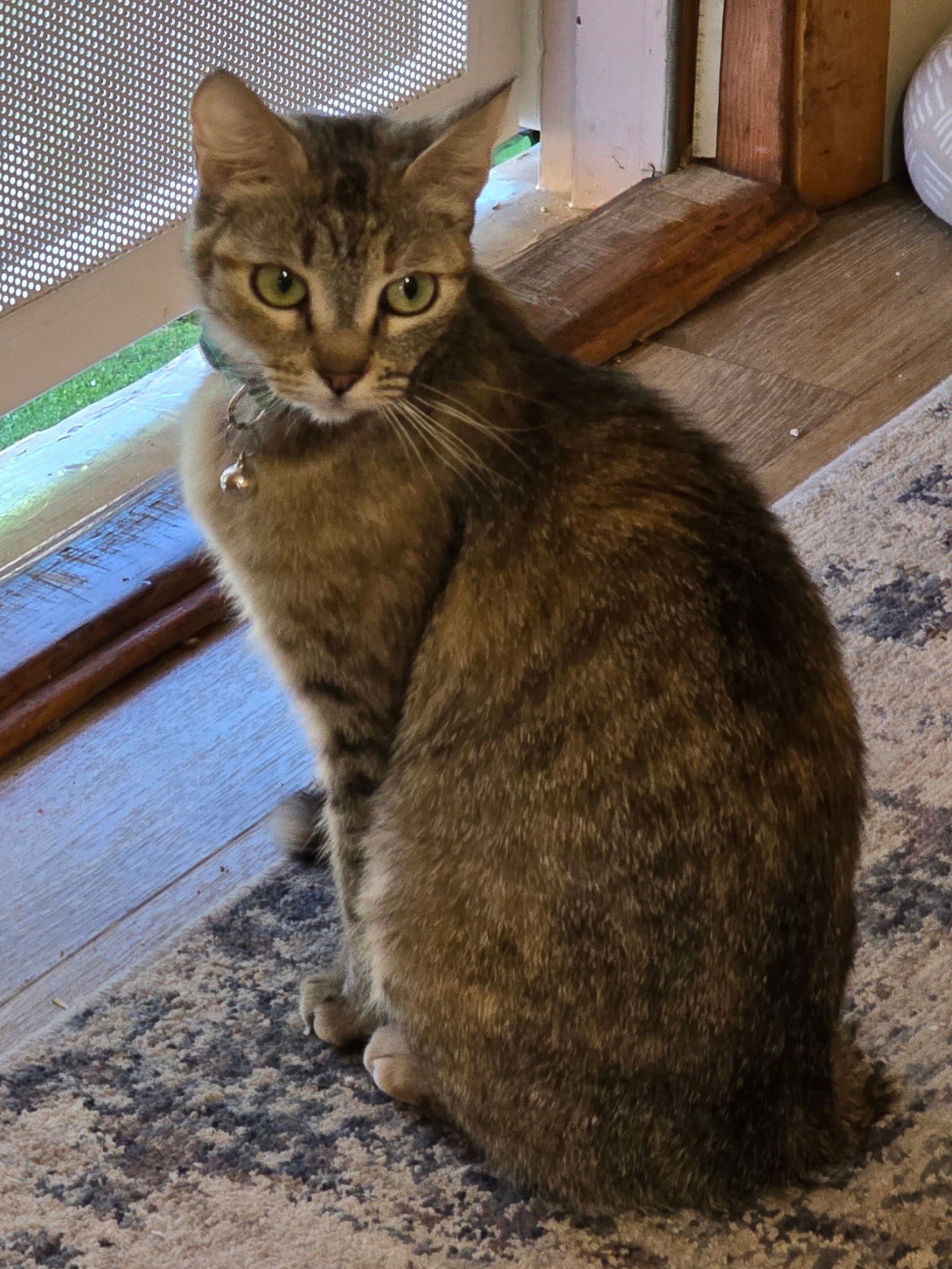 Willow ( MC)