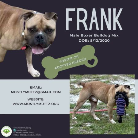 Frank