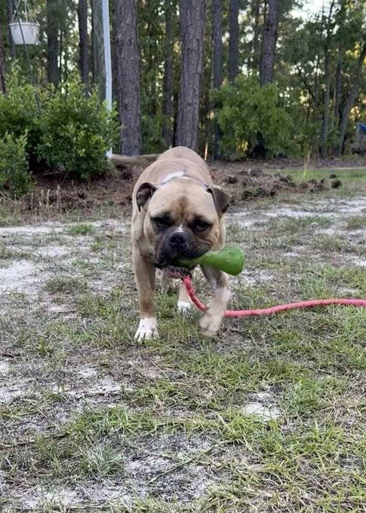 Frank Photo