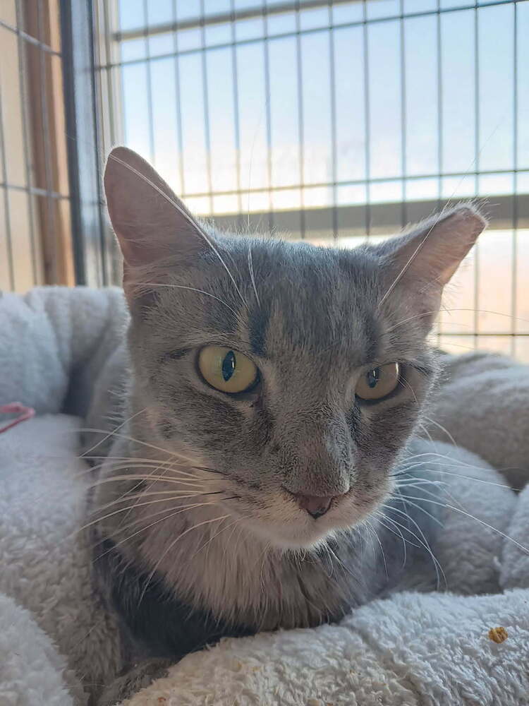 Wilma