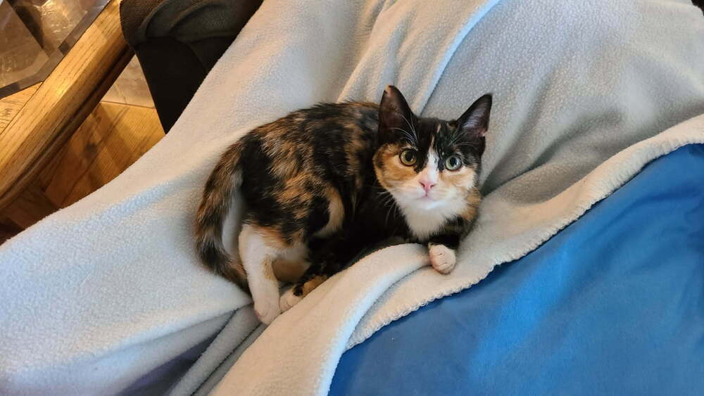 Elizabeth
