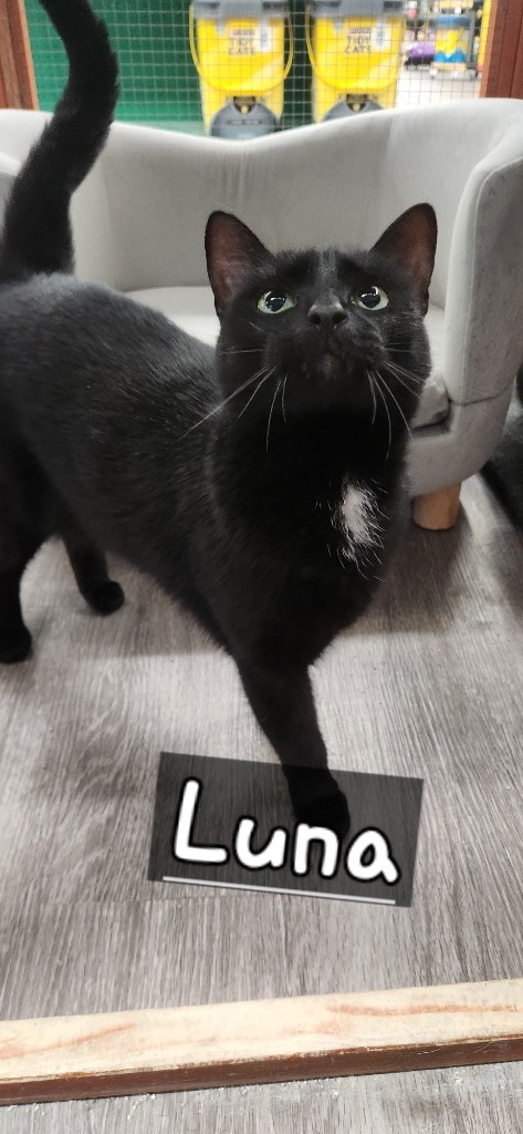 Luna