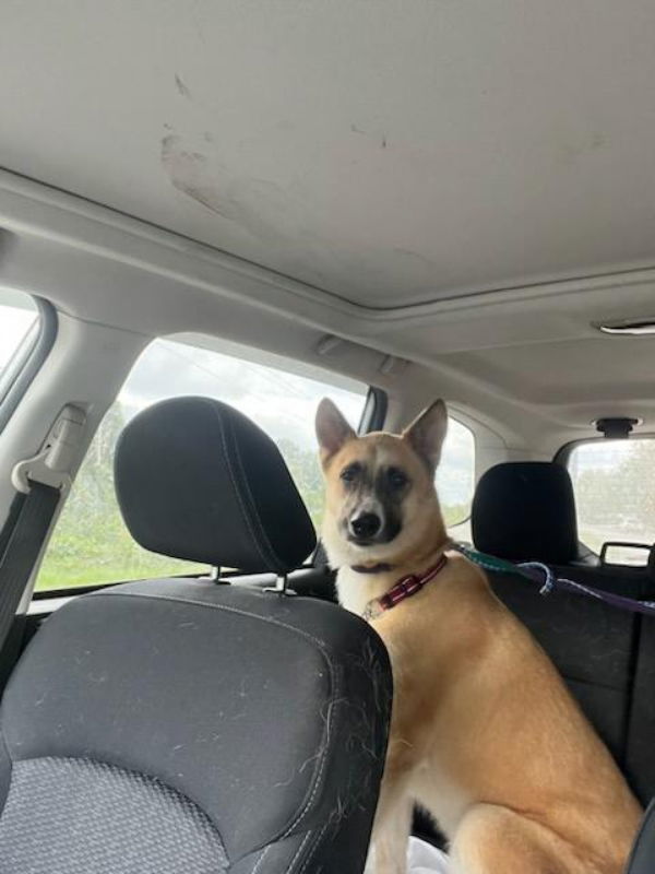 Bella