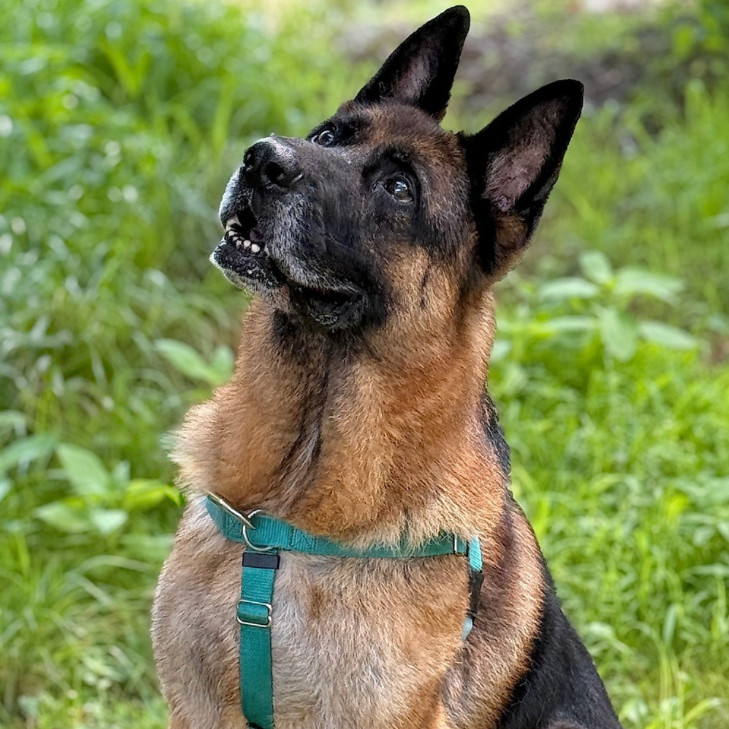 Jack