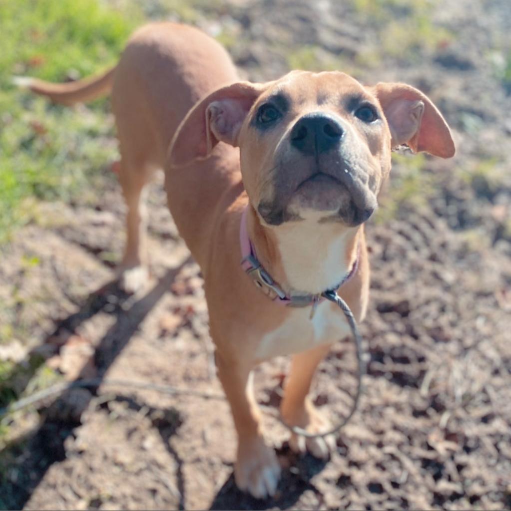 Mia