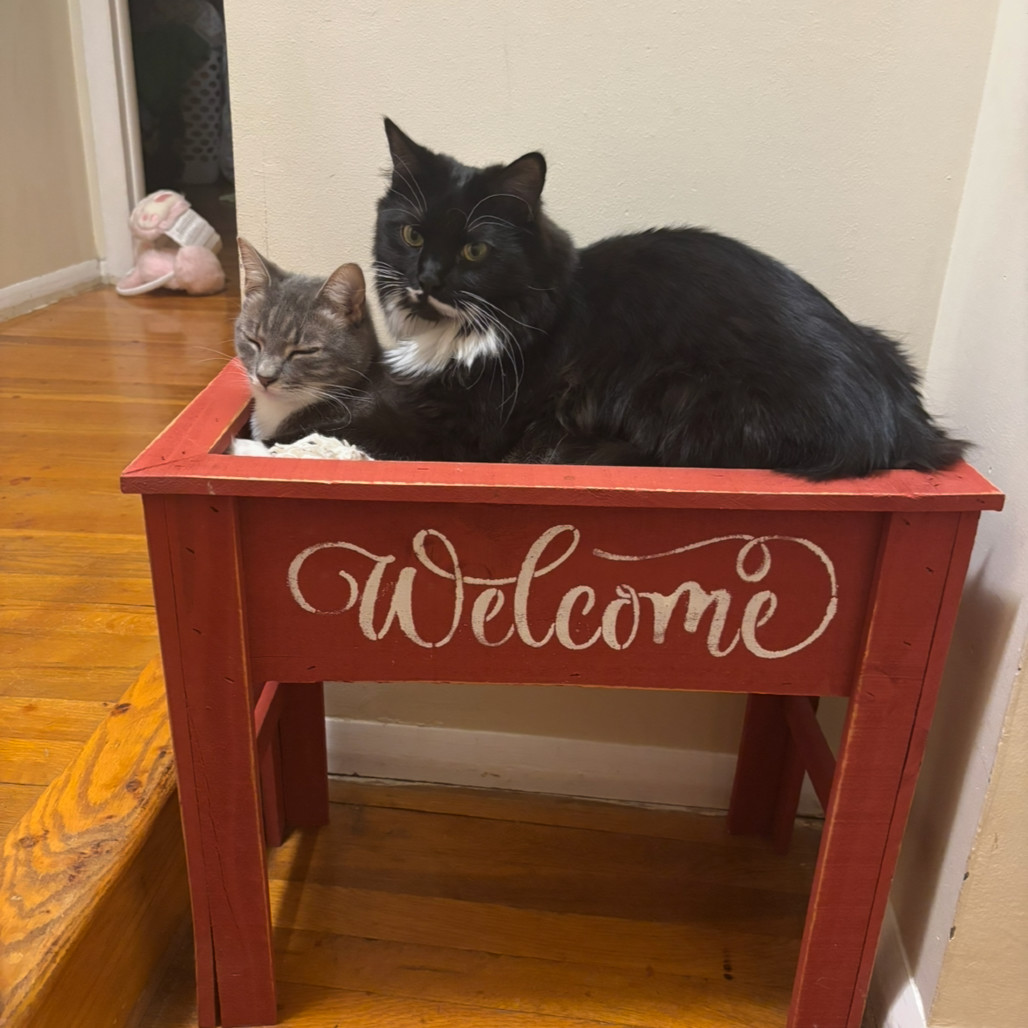 Olivia Benson (paired with Elliott Stabler)