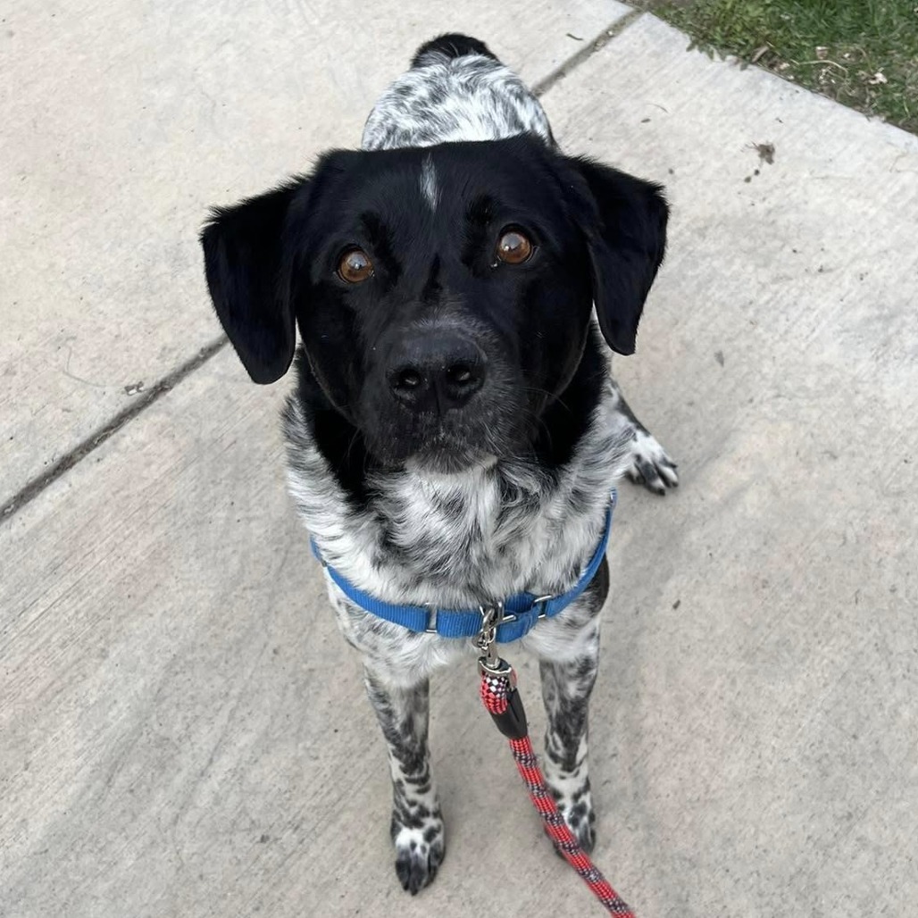 Duke