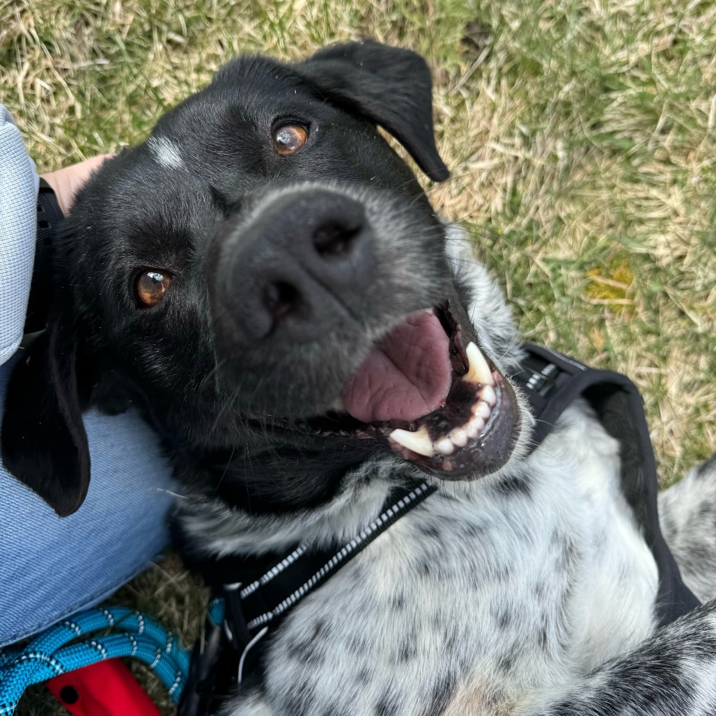 Duke
