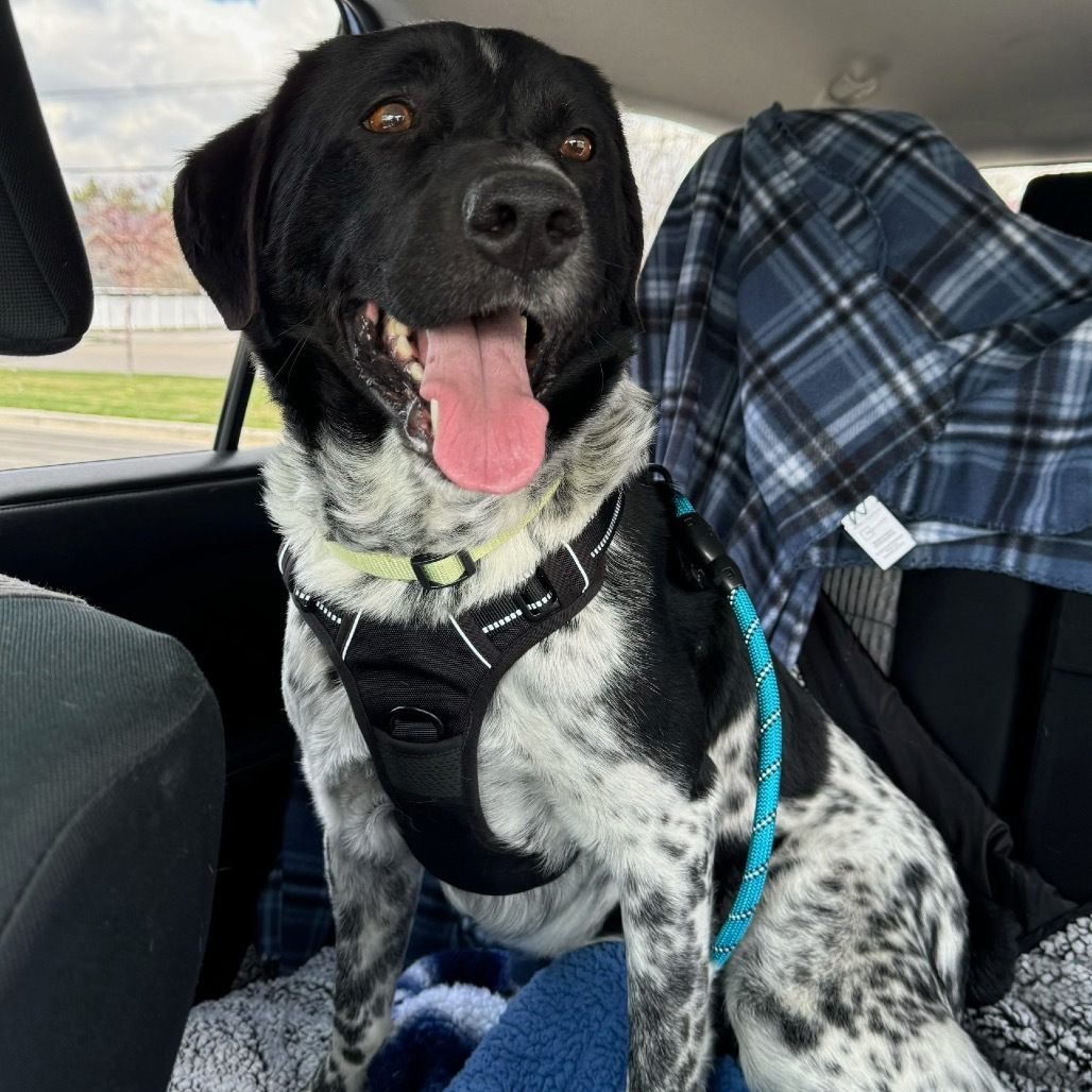 Duke