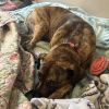 Roxanne photo 2