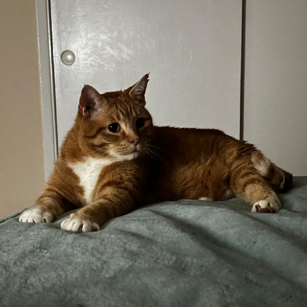 Rusty