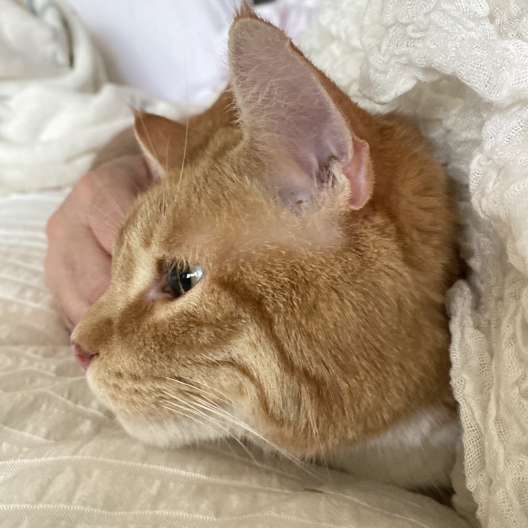 Rusty