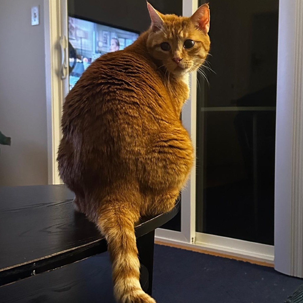 Rusty