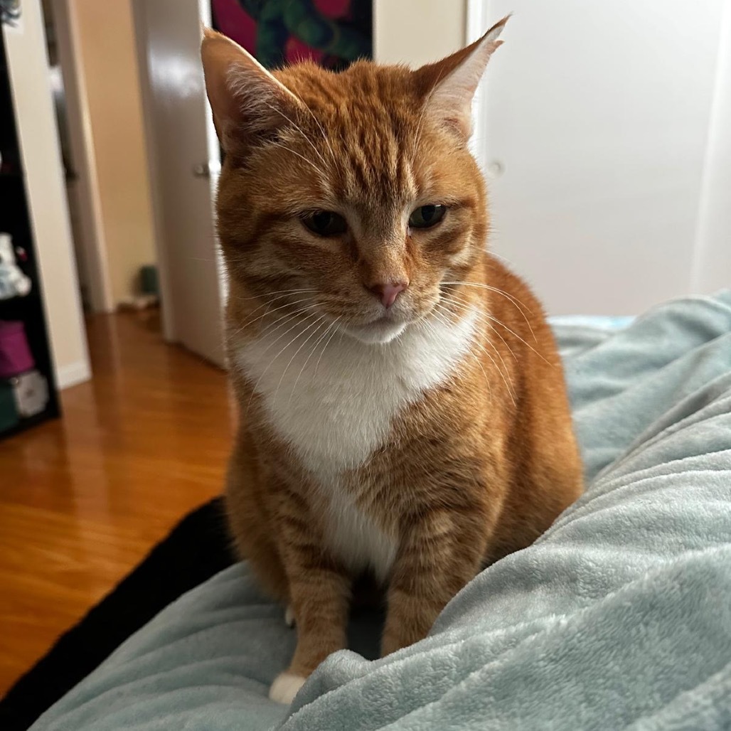 Rusty