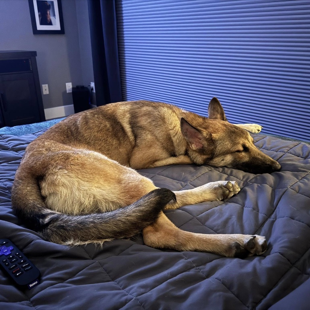 Tony Pepperoni