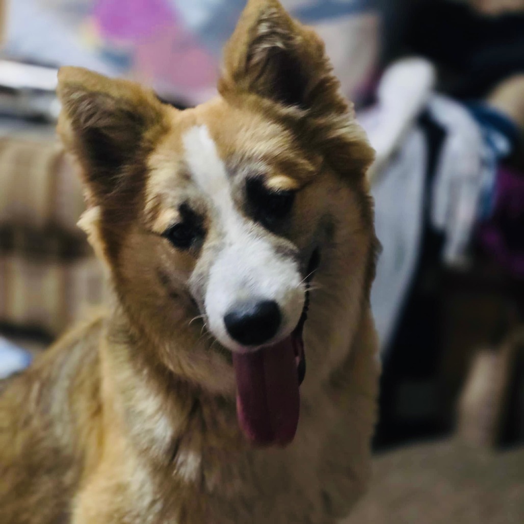Amber