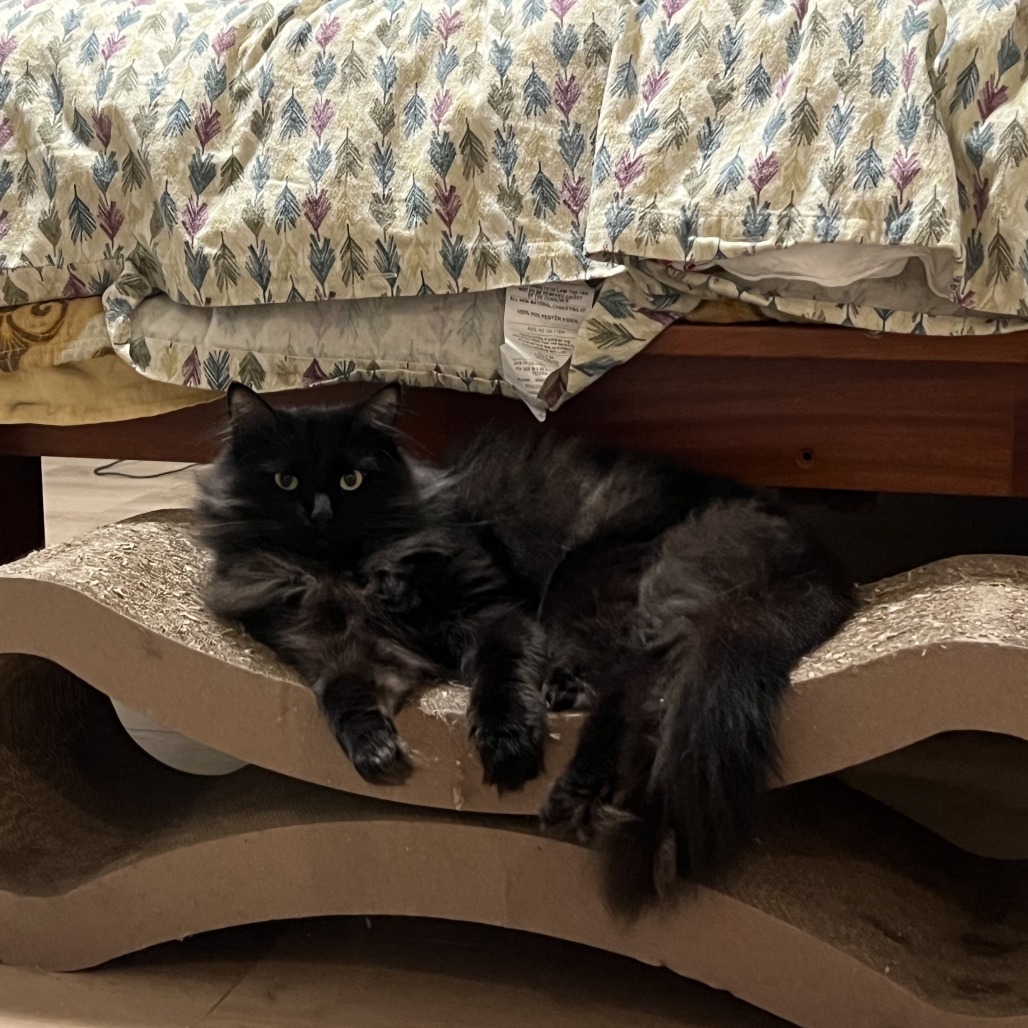 Charlie