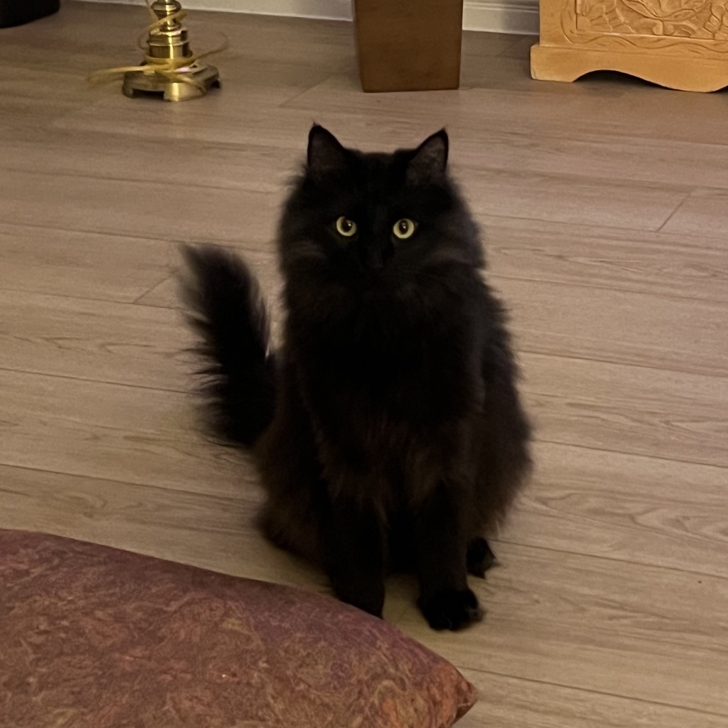 Charlie