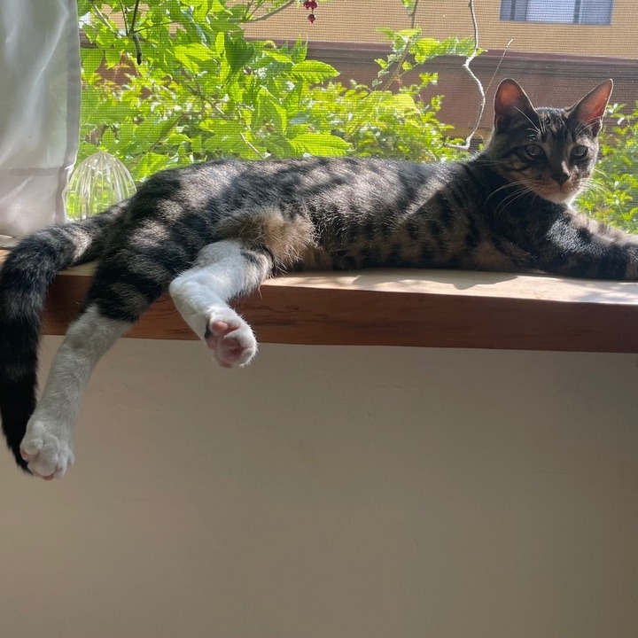 Jupiter