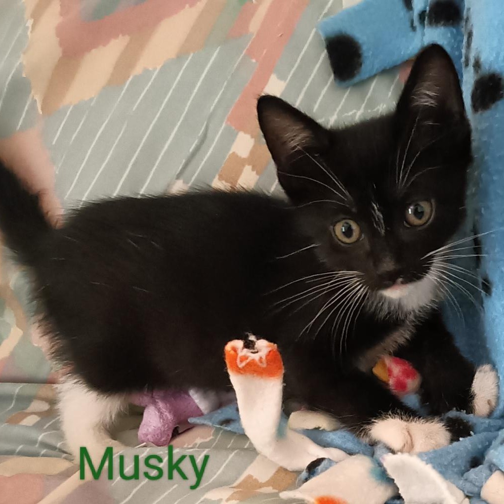Musky