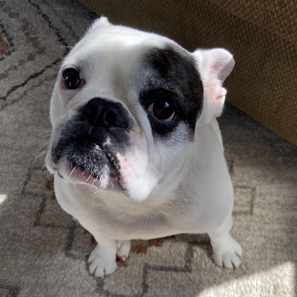 Ellie