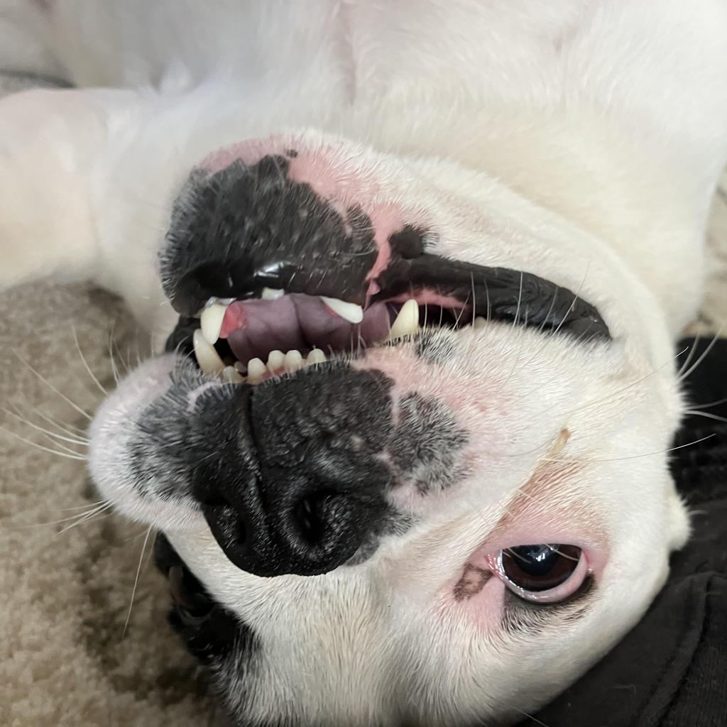 Ellie