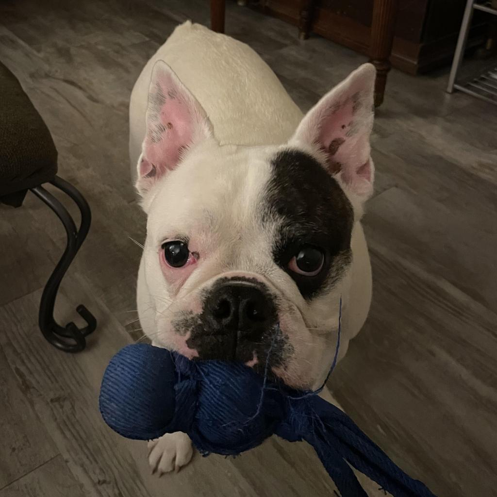 Ellie