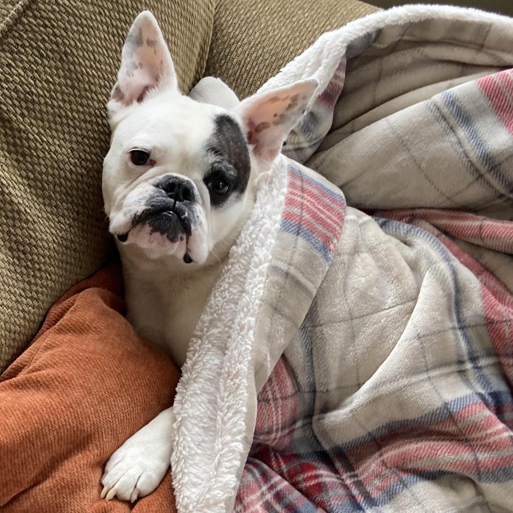 Ellie