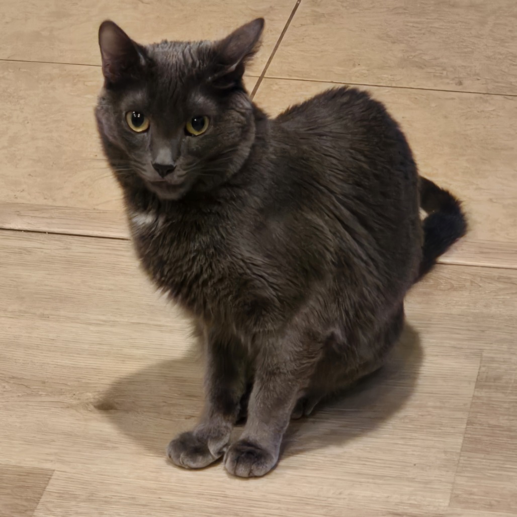 Freya- Chino Hills Location