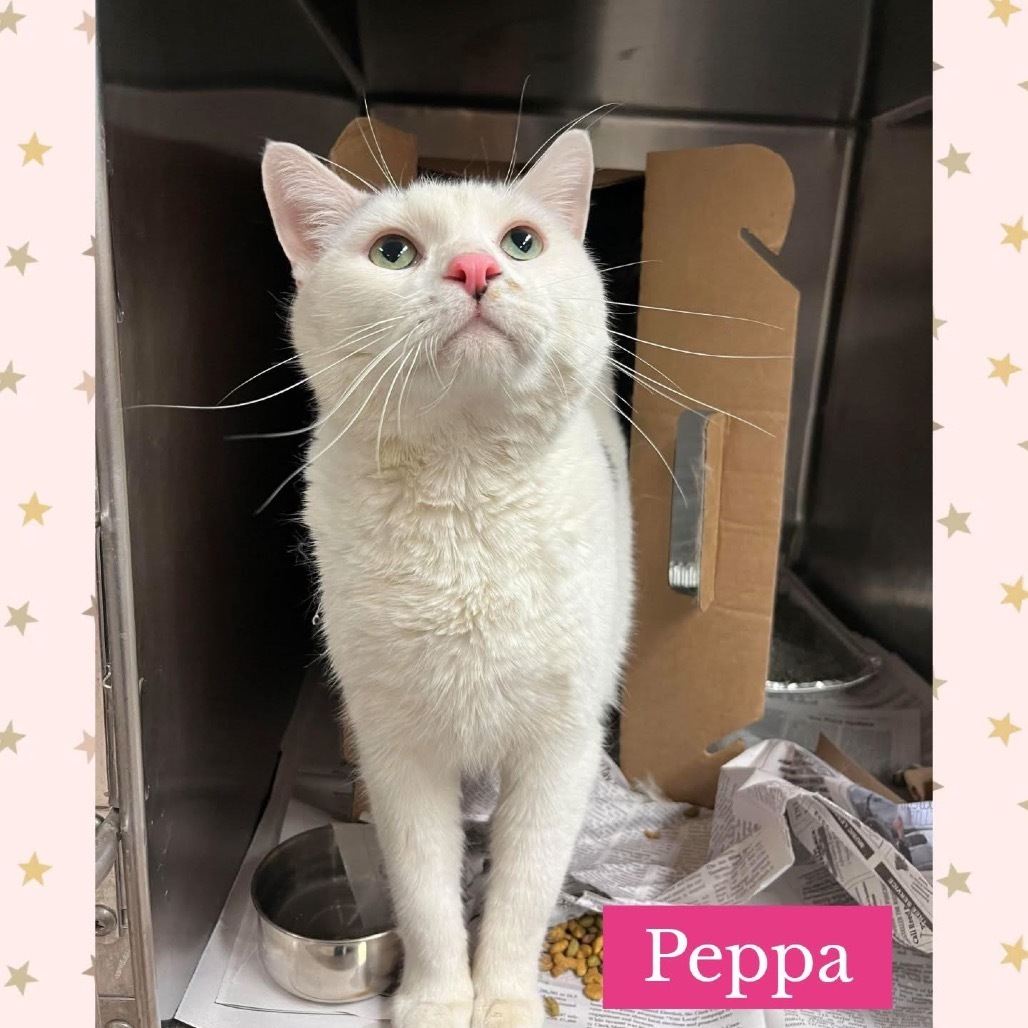 Peppa