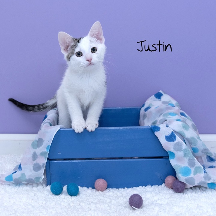 Justin