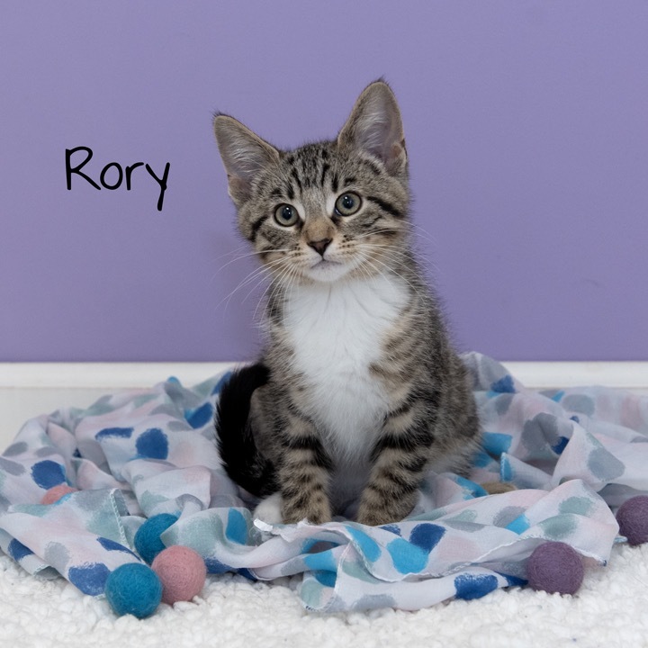 Rory