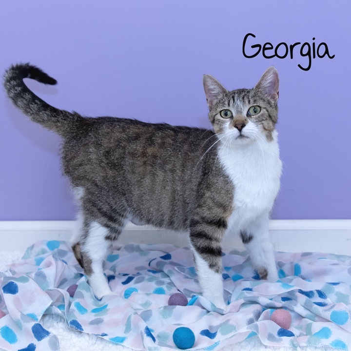 Georgia