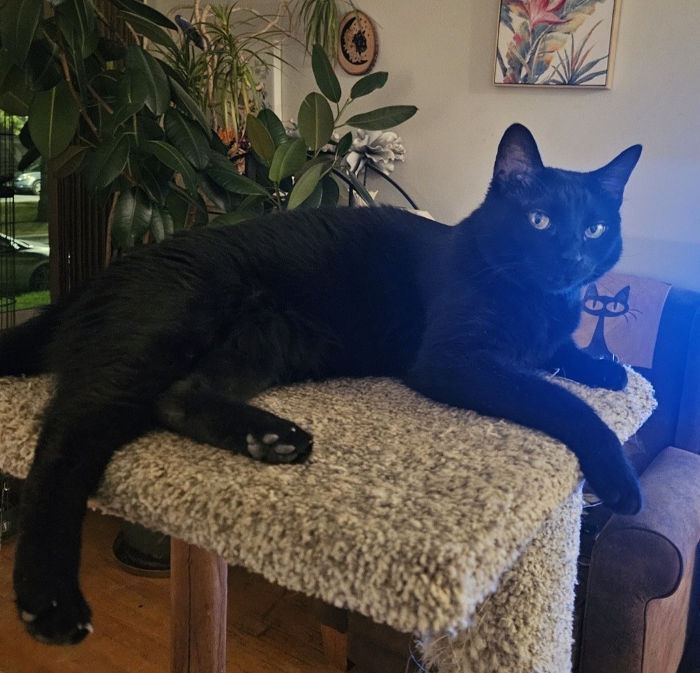 Elvira