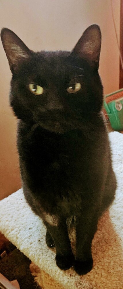 Elvira