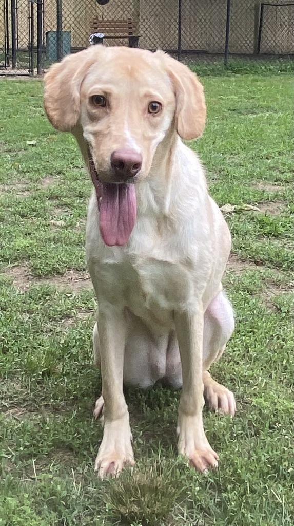 Cassandra